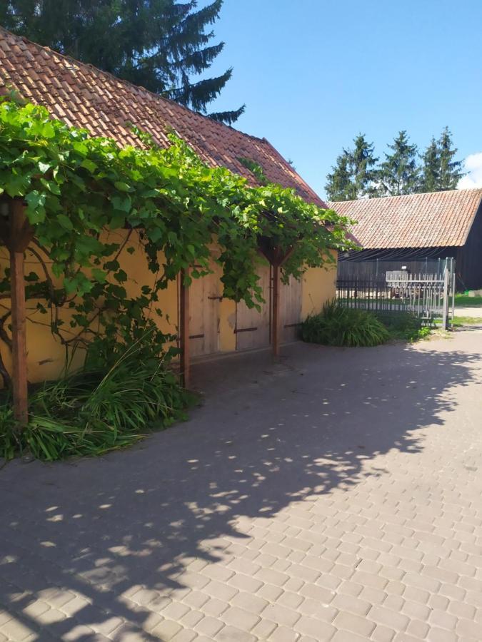 Domek Na Wzgorzu Blanki Lidzbark Warmiński 外观 照片