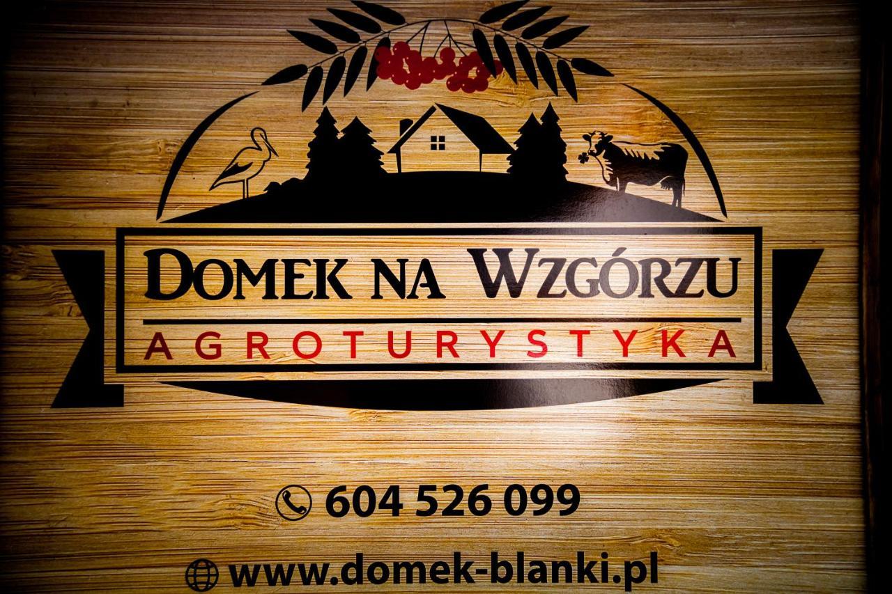 Domek Na Wzgorzu Blanki Lidzbark Warmiński 外观 照片